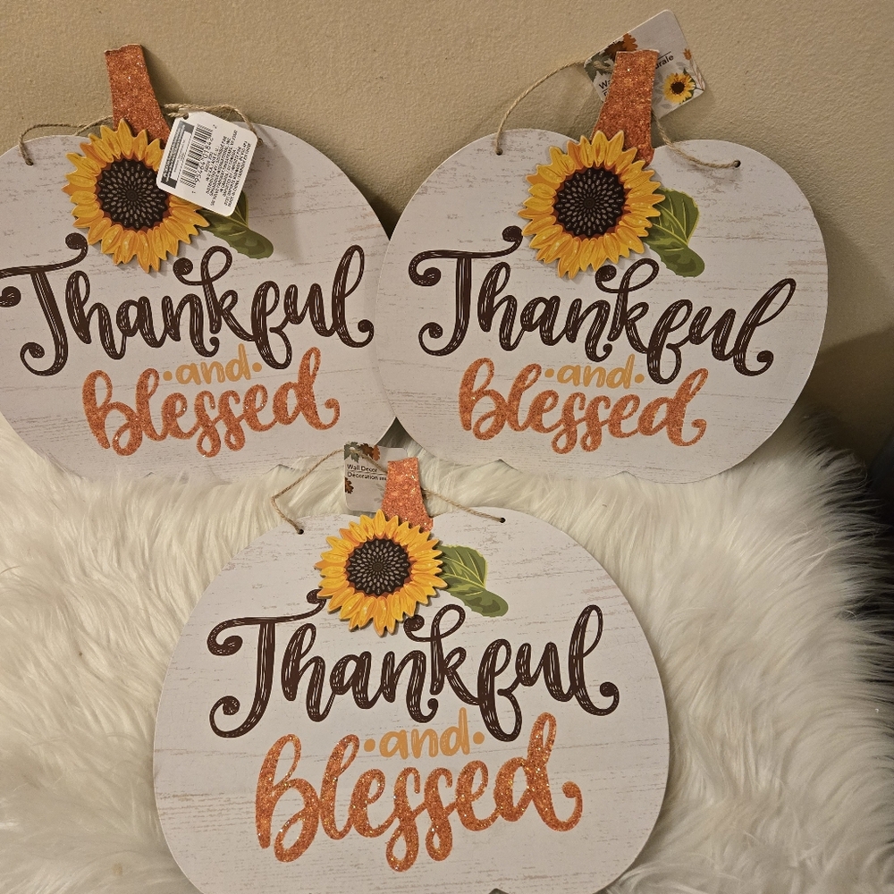 3 Thankful & Blessed CIRCLE SIGN Wall Art Door Hanger Plaque Wood Pumpkins Decor